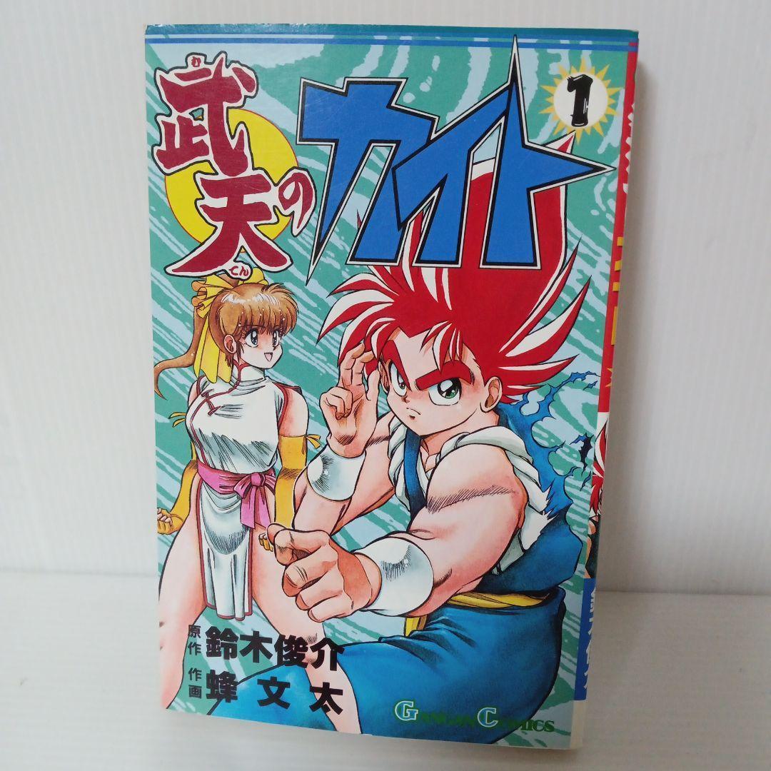 武天のカイト 1巻 初版 希少 廃盤 コミック マンガ 漫画 ガンガン