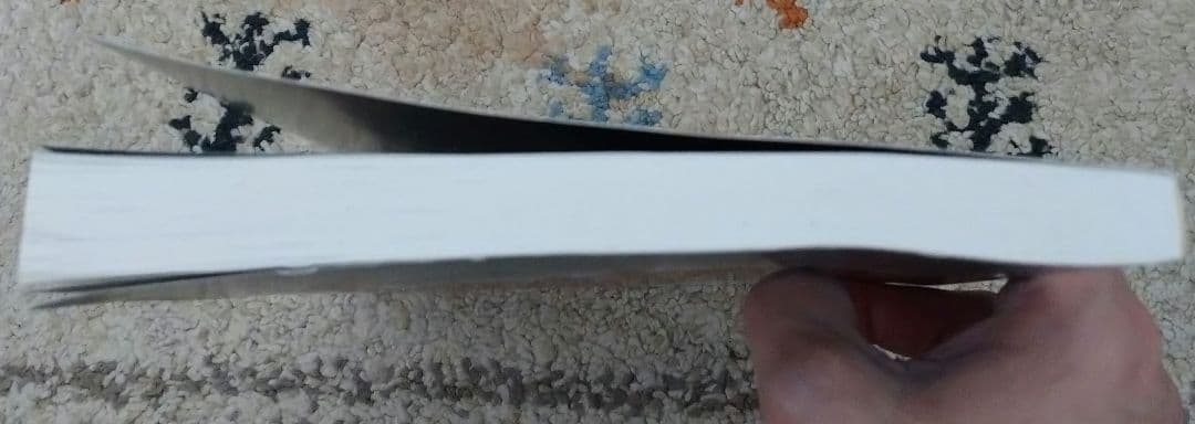 LOUDNESS バンドスコア 2冊セット売り - メルカリ