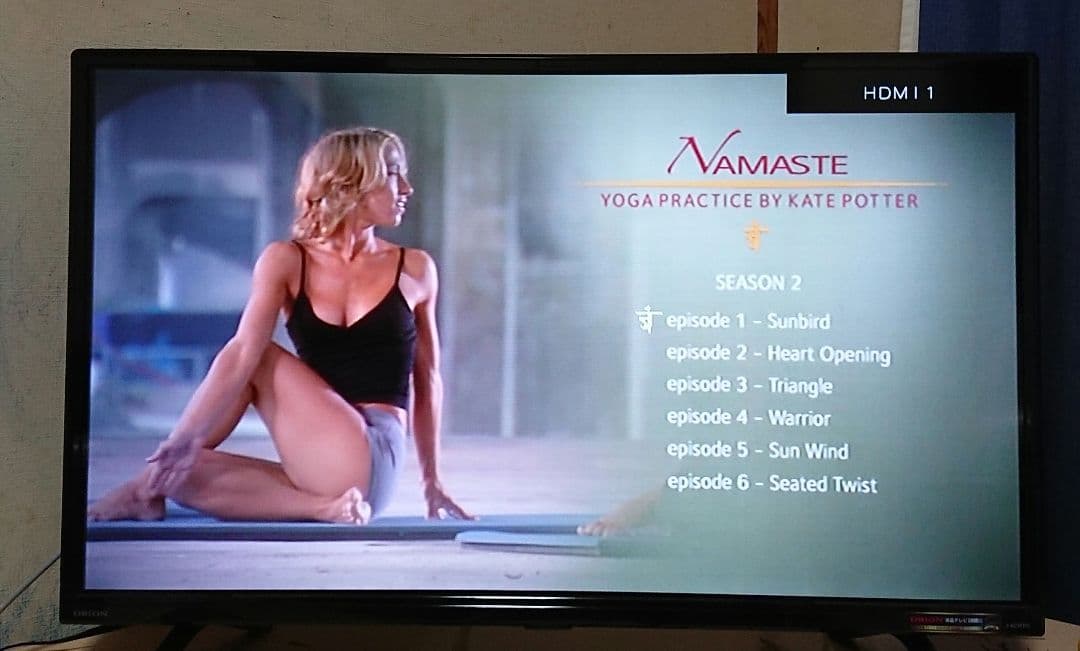 希少　ヨガ 　DVD 　2点セット