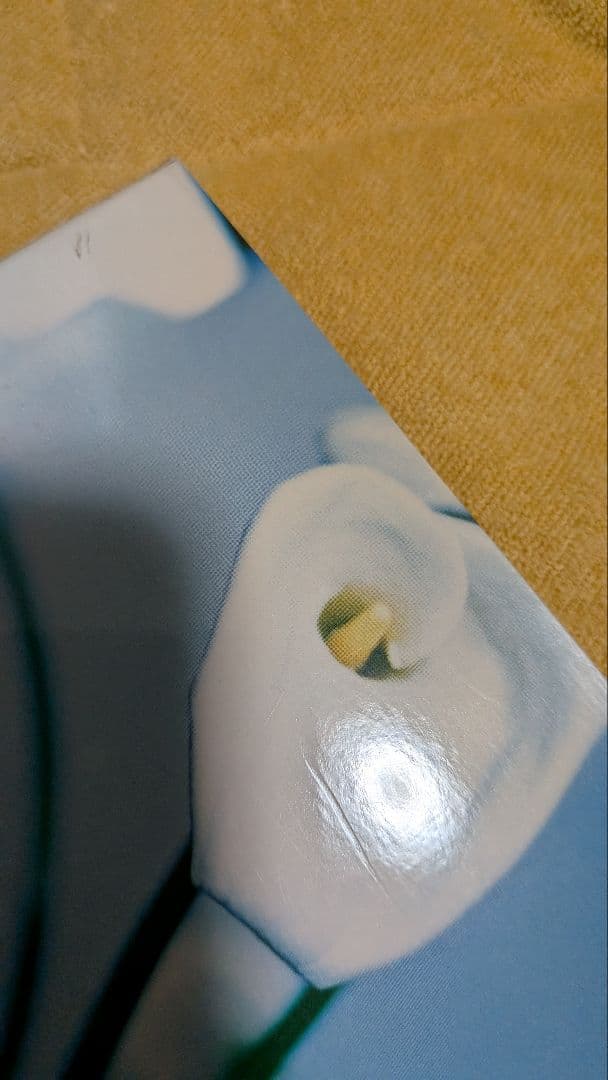 中森明菜 ♦️初回限定特別仕様♦️ SHAKER アルバム - メルカリ