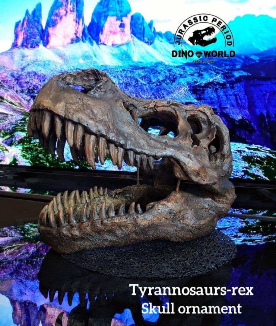 ✨大迫力✨ ティラノサウルス 恐竜の化石 頭骨 インテリア