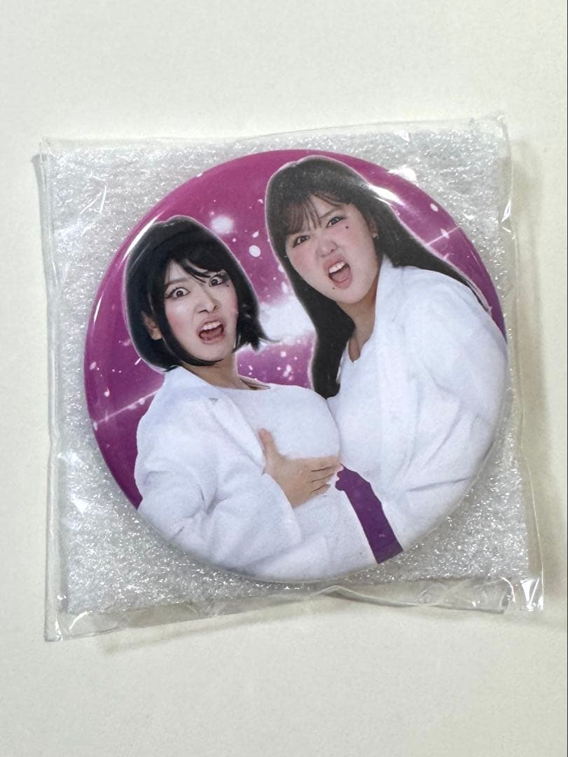 平成フラミンゴ[助け展] 缶ミラーバッジ（ふたり受付嬢ver.） - メルカリ