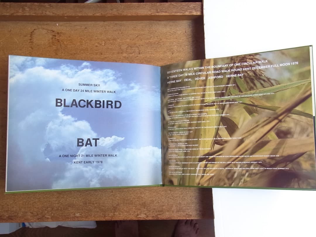 BIRD SONG /HAMISH FULTON ハミッシュフルトン（サイン本） - メルカリ