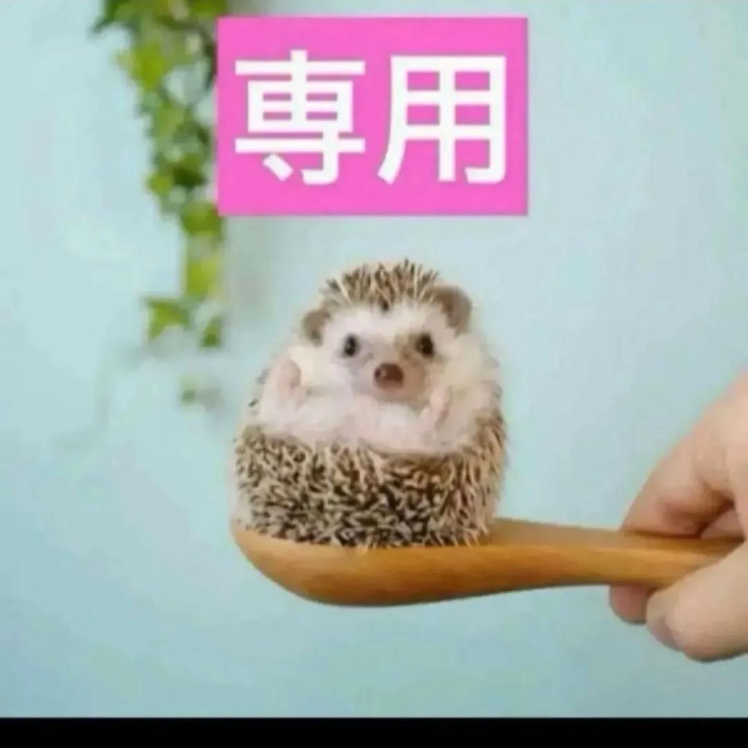 3点、サクラ、ディオリビエラ、グリディオール DIOR】 新作 メゾン クリスチャン ディオール ディオリビエラ ラ コ