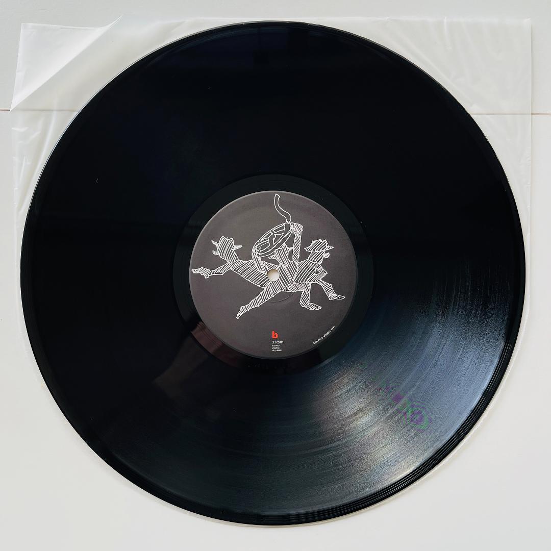 稀少レコード Z団 江ノ島 サザン・オールスターズ メドレー 桑田佳祐