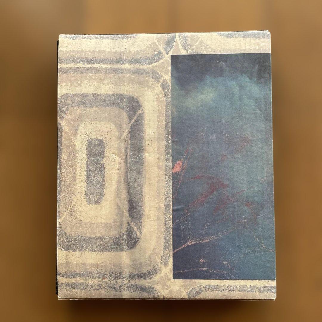 春光乍洩 / happy together /ブエノスアイレス 写真集