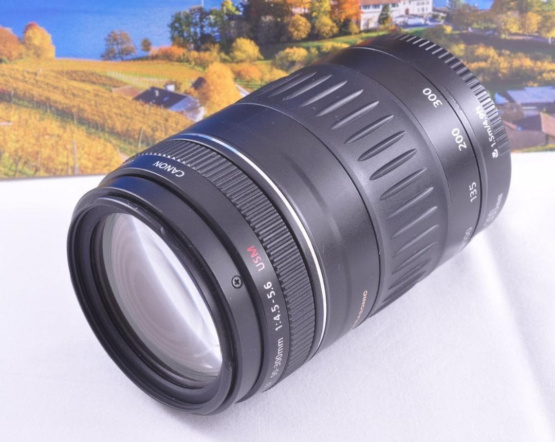 Canon EF 90-300mm USM フード付キヤノン 望遠ズーム 整備済