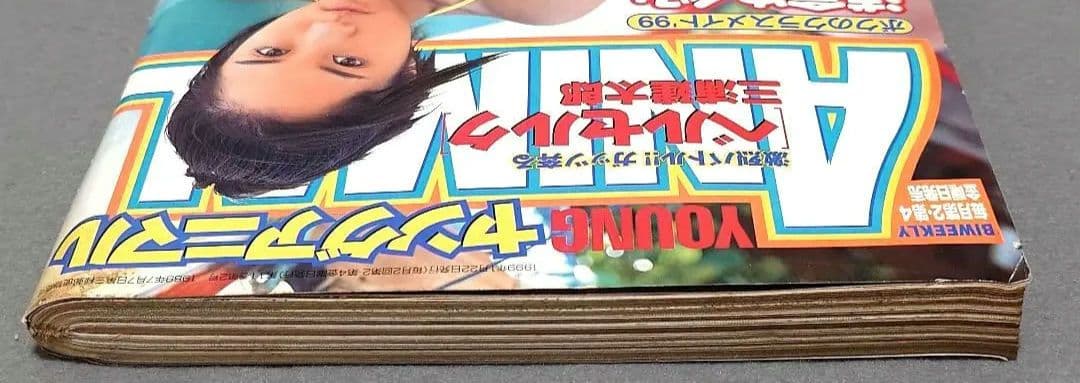 ヤングアニマル1999年2号ベルセルク第134話/浅倉めぐみ表紙&水着グラビア