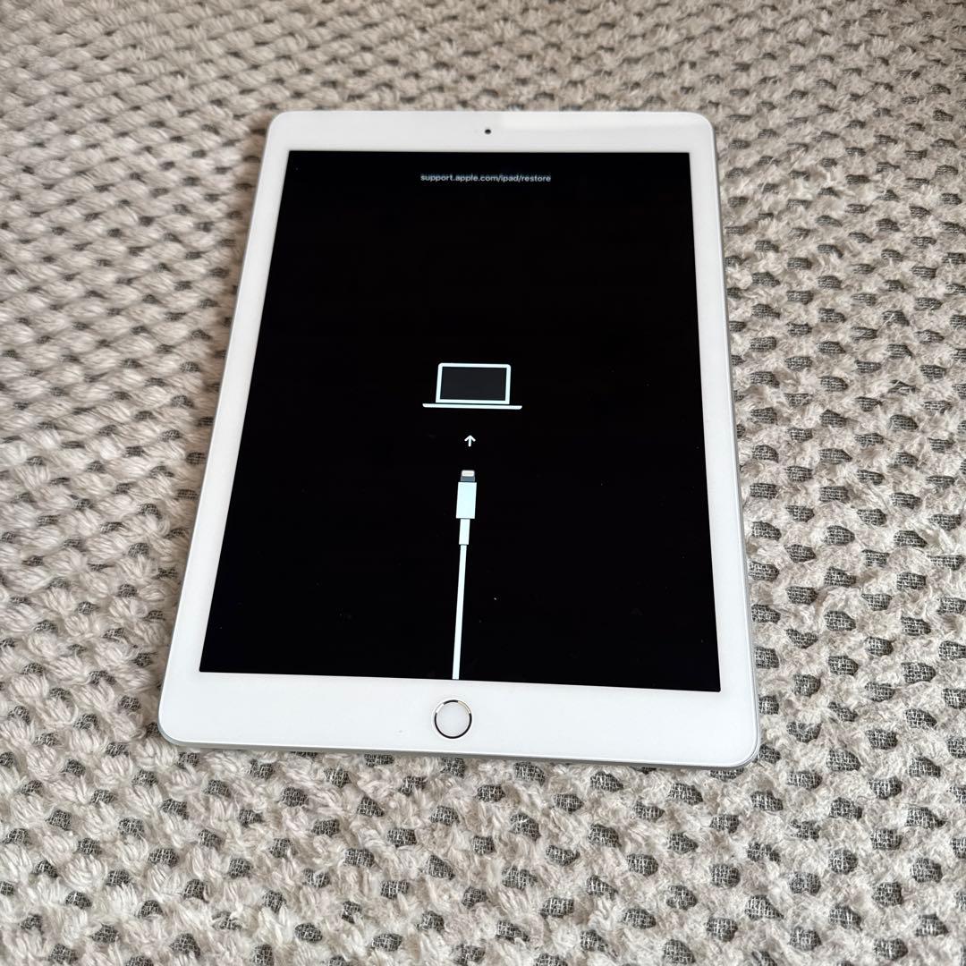 iPad（第5世代）Wi-Fi + Cellularモデル ジャンク - メルカリ