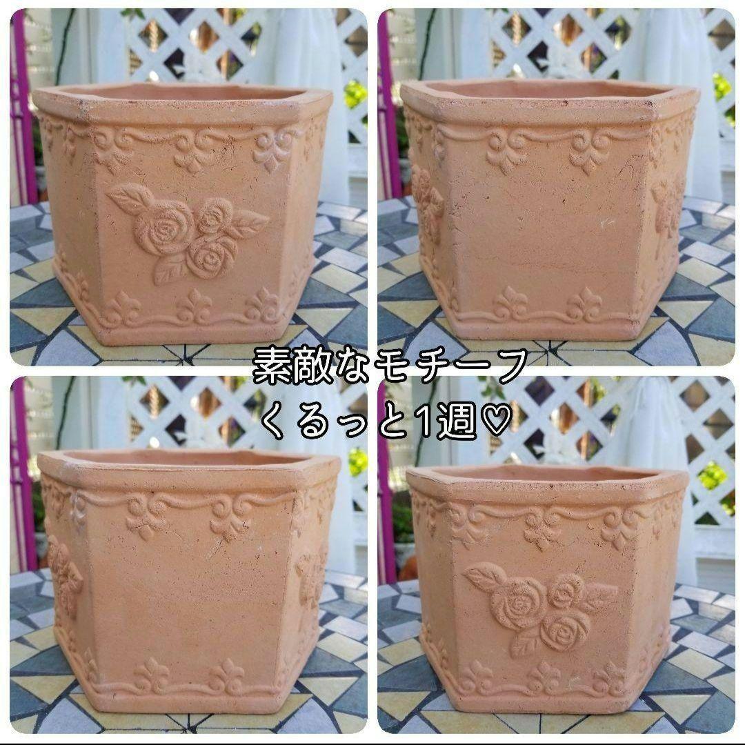 トミー様、いつも本当にありがとうございます✿*:♡