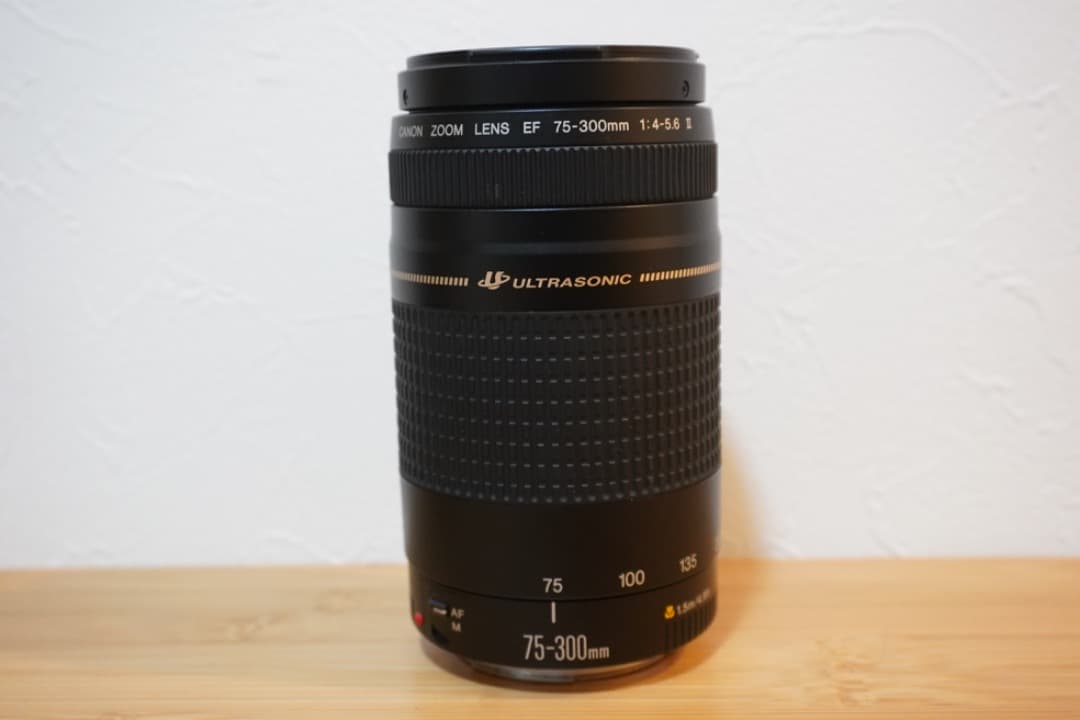 キヤノン EF 75-300mm f/4-5.6 II USM 望遠