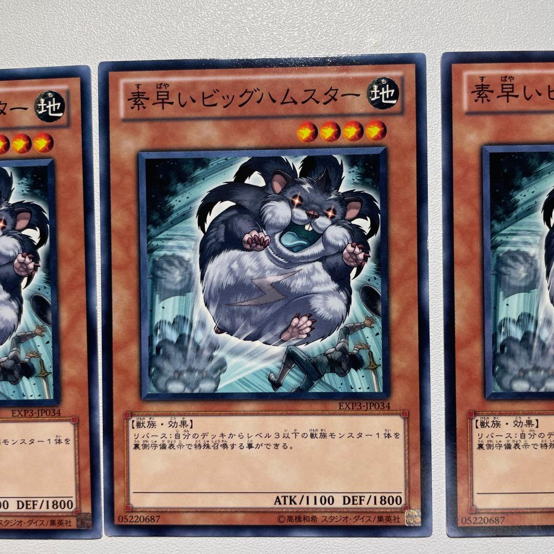 遊戯王 素早いビッグハムスター 3枚 - メルカリ