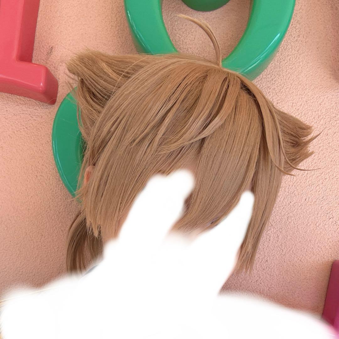 伏見ガク コスプレウィッグ - メルカリ