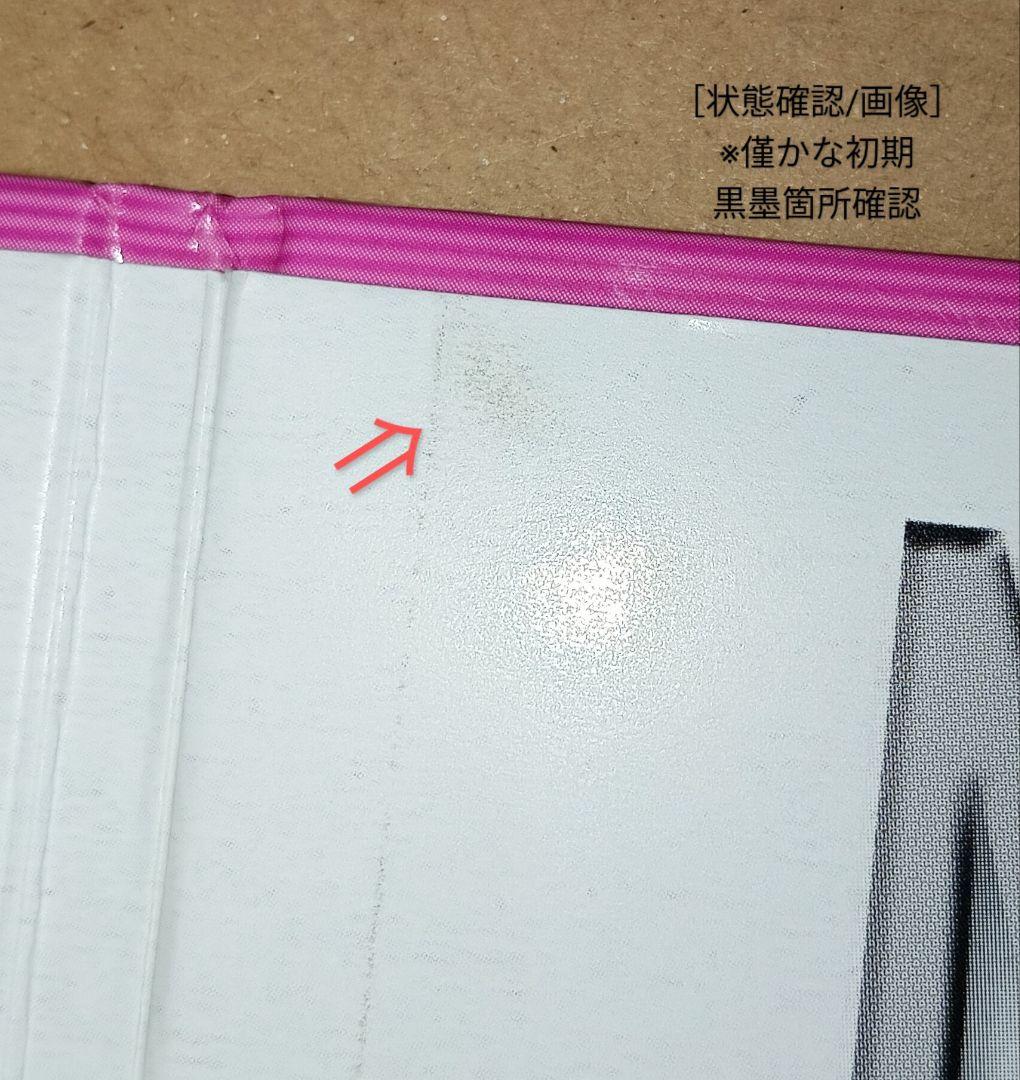 セレッソ大阪×J加盟10th】『森島寛晃』直筆サイン入りカードアルバム