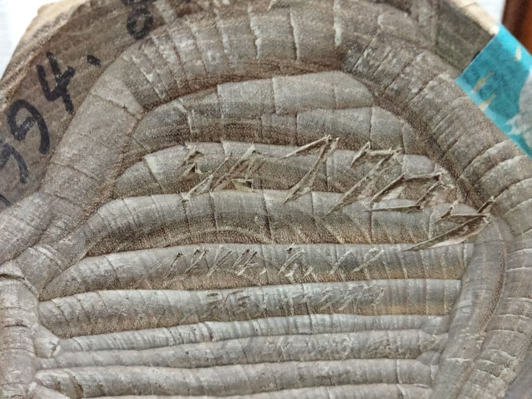 青山作 木彫 フクロウの置物 北海道洞爺湖 民藝 - メルカリ