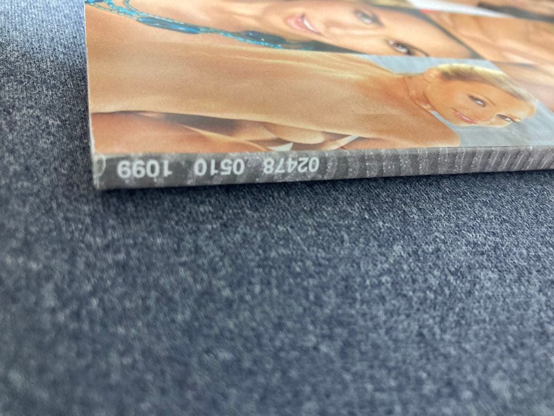 Playboy's Nudes 1999年版 Traci Denee