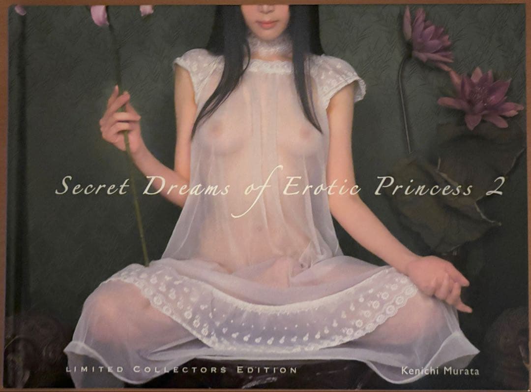 洋書 Secret Dreams of Erotic Princess 1,2