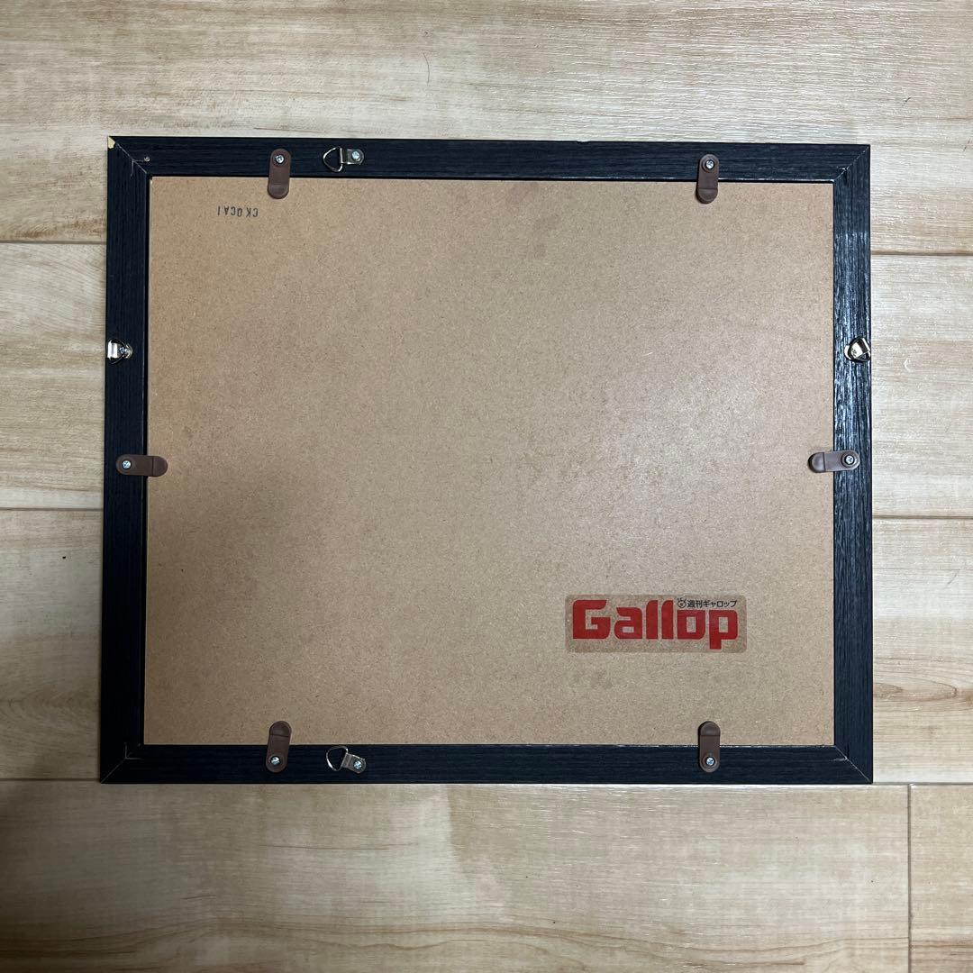 藤田菜七子騎手×サニーデイズ 額装写真パネル - メルカリ