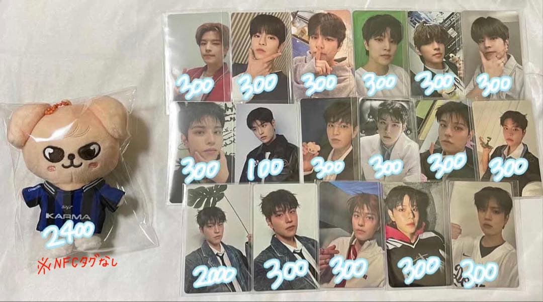 straykids スキズ スンミン トレカ ぬいぐるみ PuppyM - メルカリ