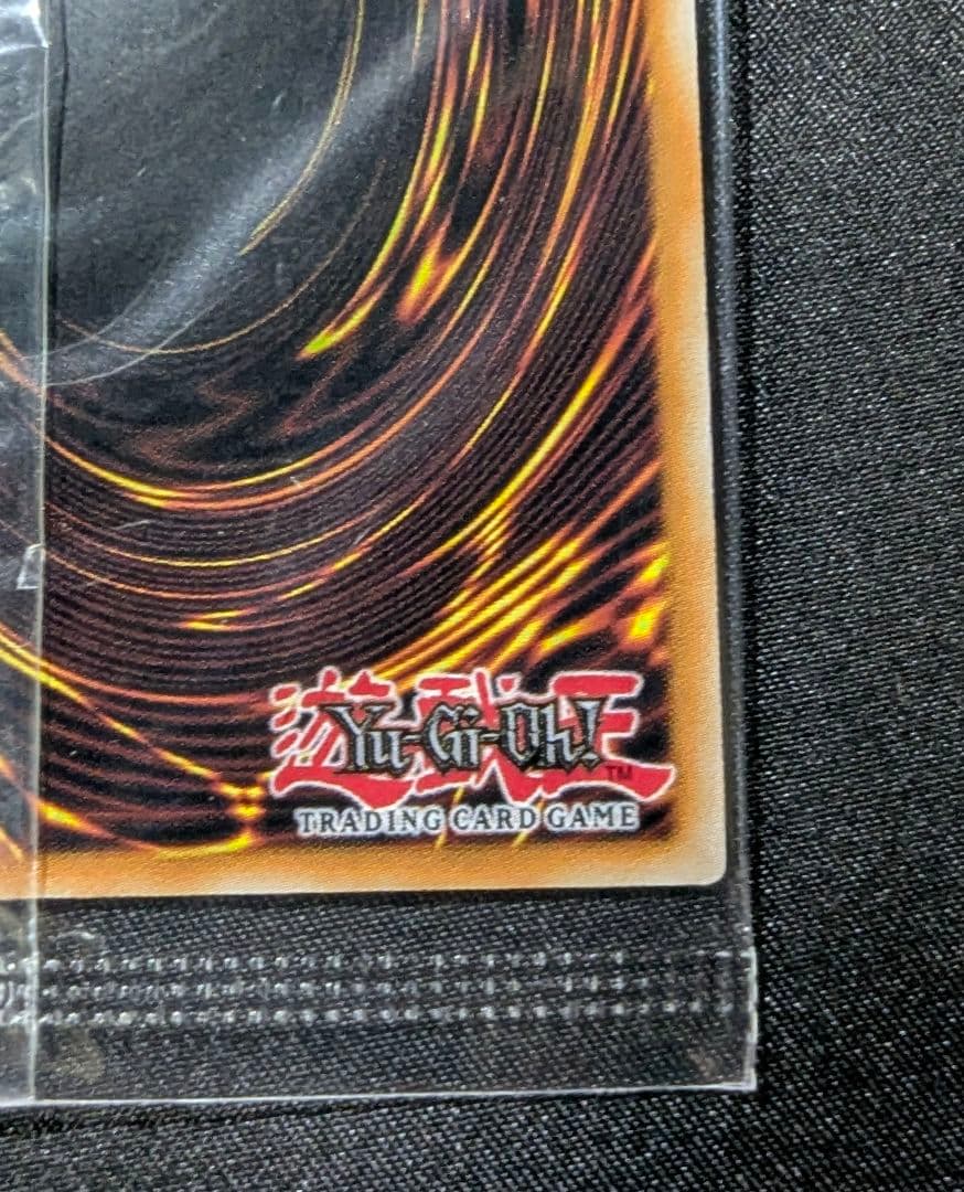 遊戯王 カードガンナー WCQ 2025 プロモカード 未開封