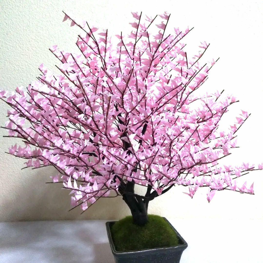 折り鶴盆栽【桜 盆栽】No.30 - メルカリ