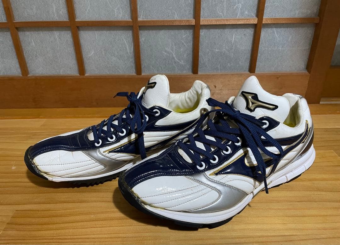 ミズノ　グローバルエリート　オーダートレーニングシューズ 野球 ミズノ オーダートレーニングシューズ mizuno グローバルエリート