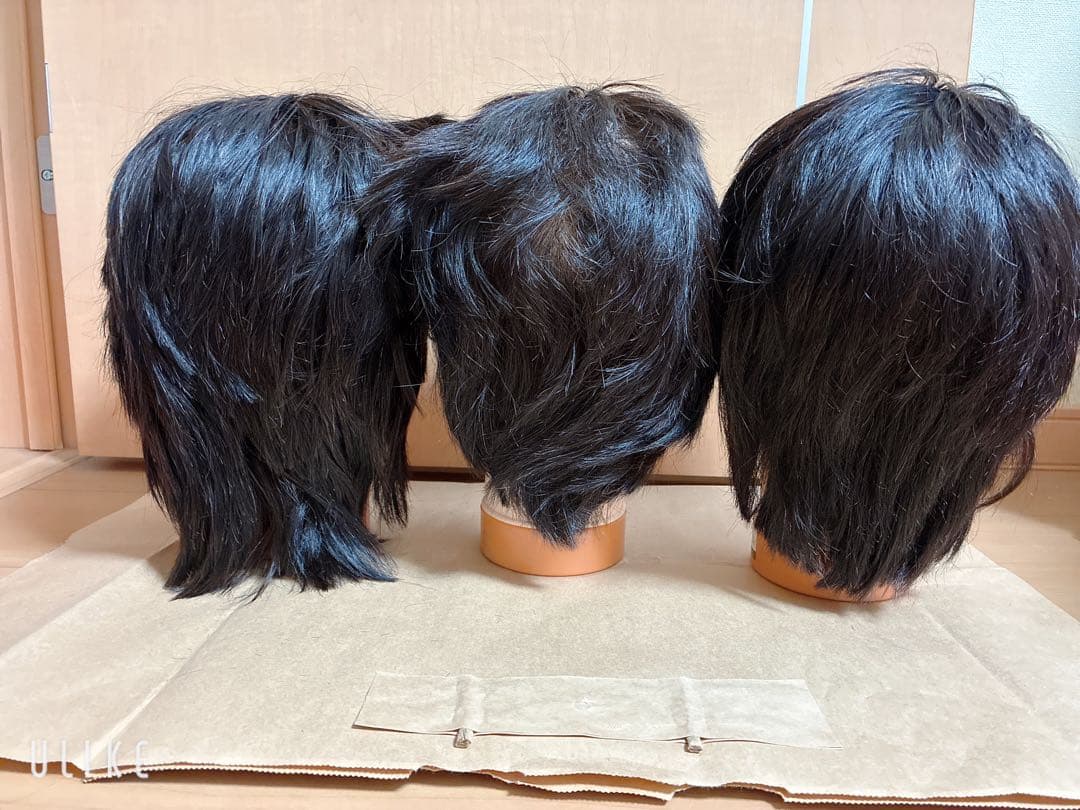 美容師国家試験練習用ウィッグ3体セット 24-2Cut ユーカリジャパン