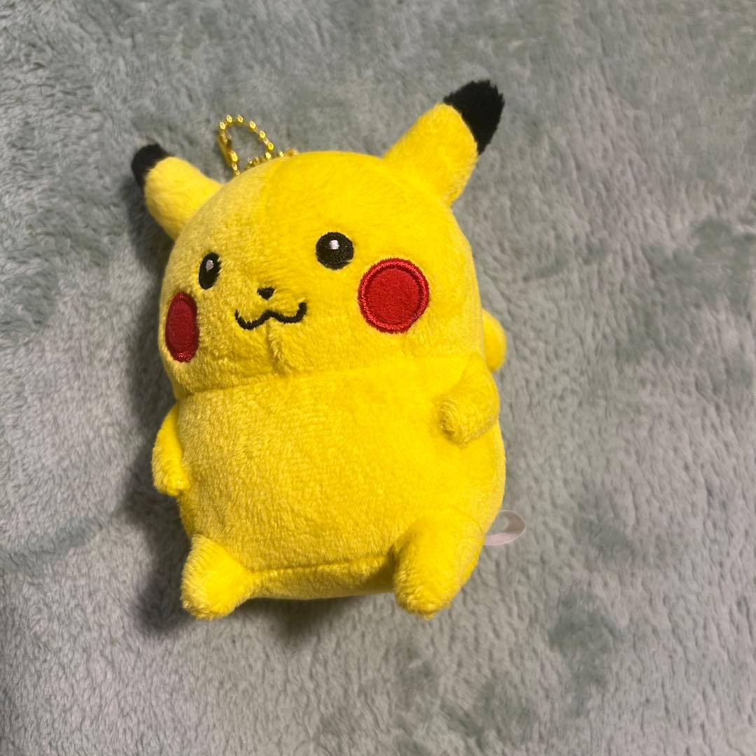 24じかんポケモンchu ナガノ ピカチュウ ポケモン 24じかんポケモンCHU ピカチュウ ナガノ ぬいぐるみ ちいかわ