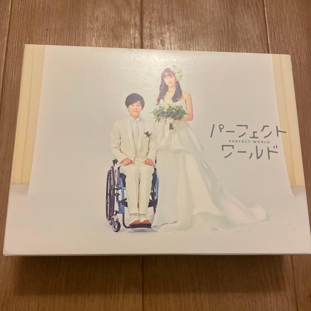 パーフェクトワールド DVD 恋愛ドラマ 松坂桃李 山本美月 瀬戸康史