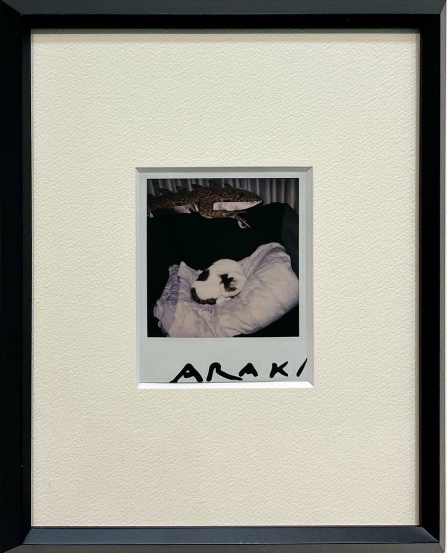 荒木経惟 ポラロイド写真 ヌード サイン入 荒木経惟、ポラロイドにサインを入れる。 渾身の写真集『#暗箱』、5月