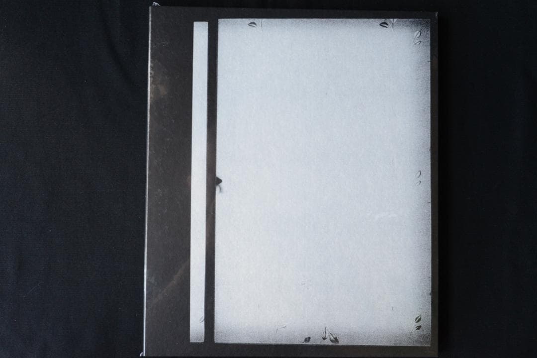 【The Humanness of Our Lonely Selves】未開封品 BRING ME THE HORIZON POST HUMAN NeX GEn W/3 BONUS TRACKS DELUXE CD