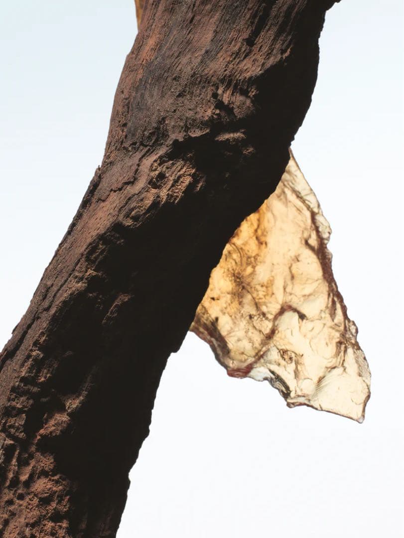 DRIES VAN NOTEN ロックザミルラ 香水 フルボトル 100ml - メルカリ