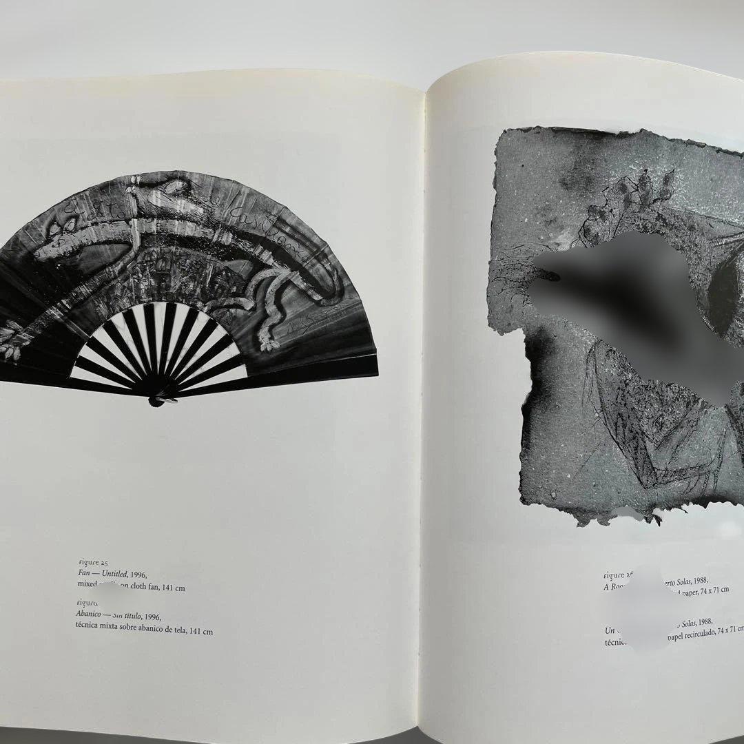 稀少　Nelson Dominguez　ネルソン・ドミンゲス 画集