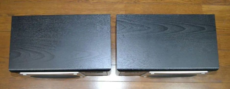 【美品】テクニクス SB-RX30（動作確認済みですが訳アリ）