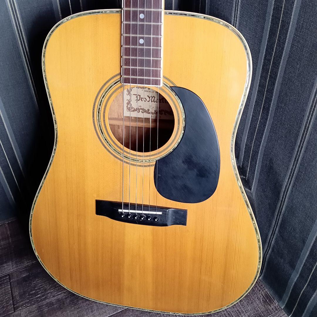 マーティン 縦ロゴ W-200 Martin Pro Martin ギター - メルカリ