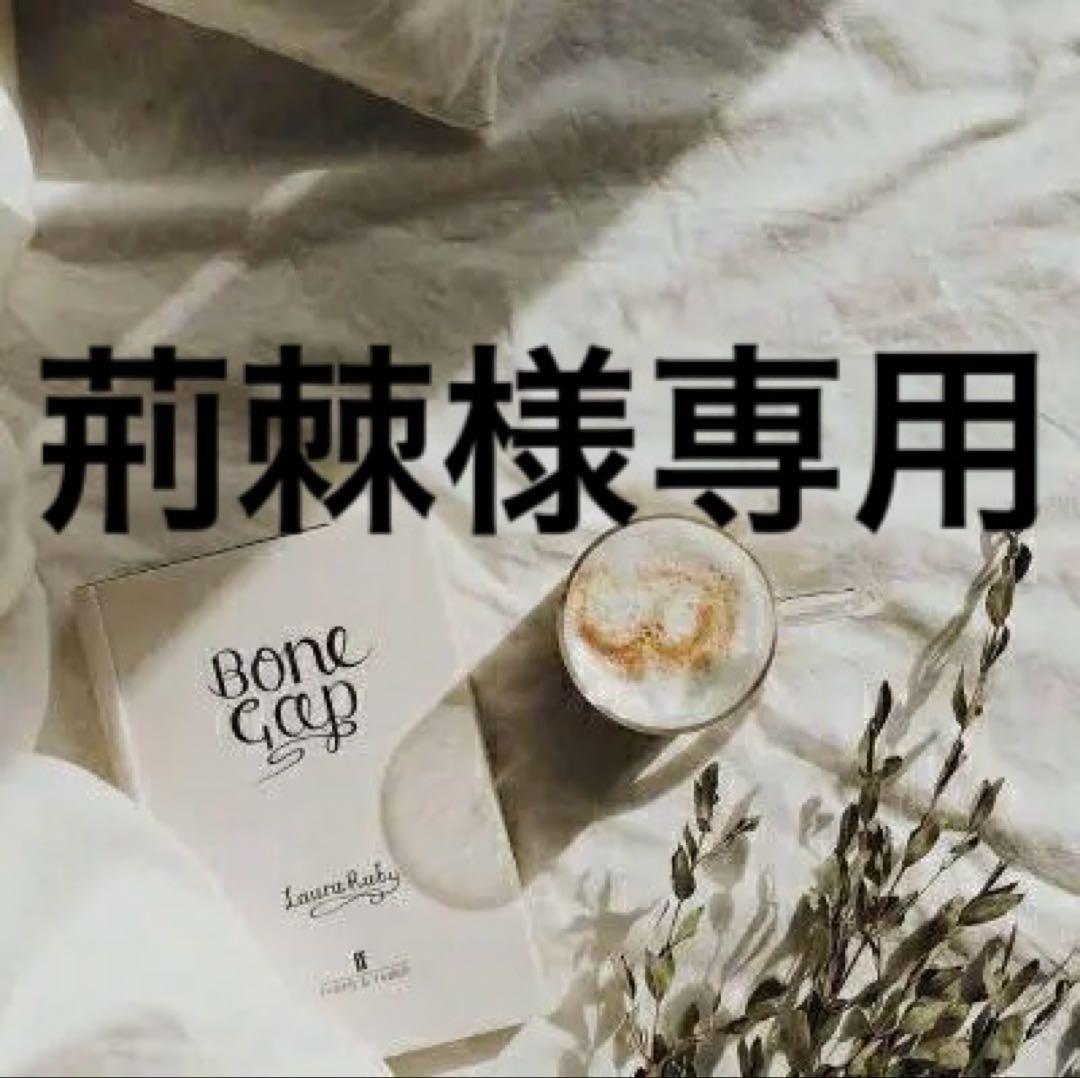 荊棘　0504 荊棘 0504 荊棘 0504 荊棘 0504 トリックスター / Ninja ZX-25R(21-24