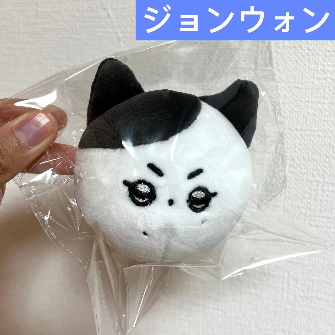 ジョンウォン ぬいぐるみ enhypen 5センチ ドール マスター - メルカリ