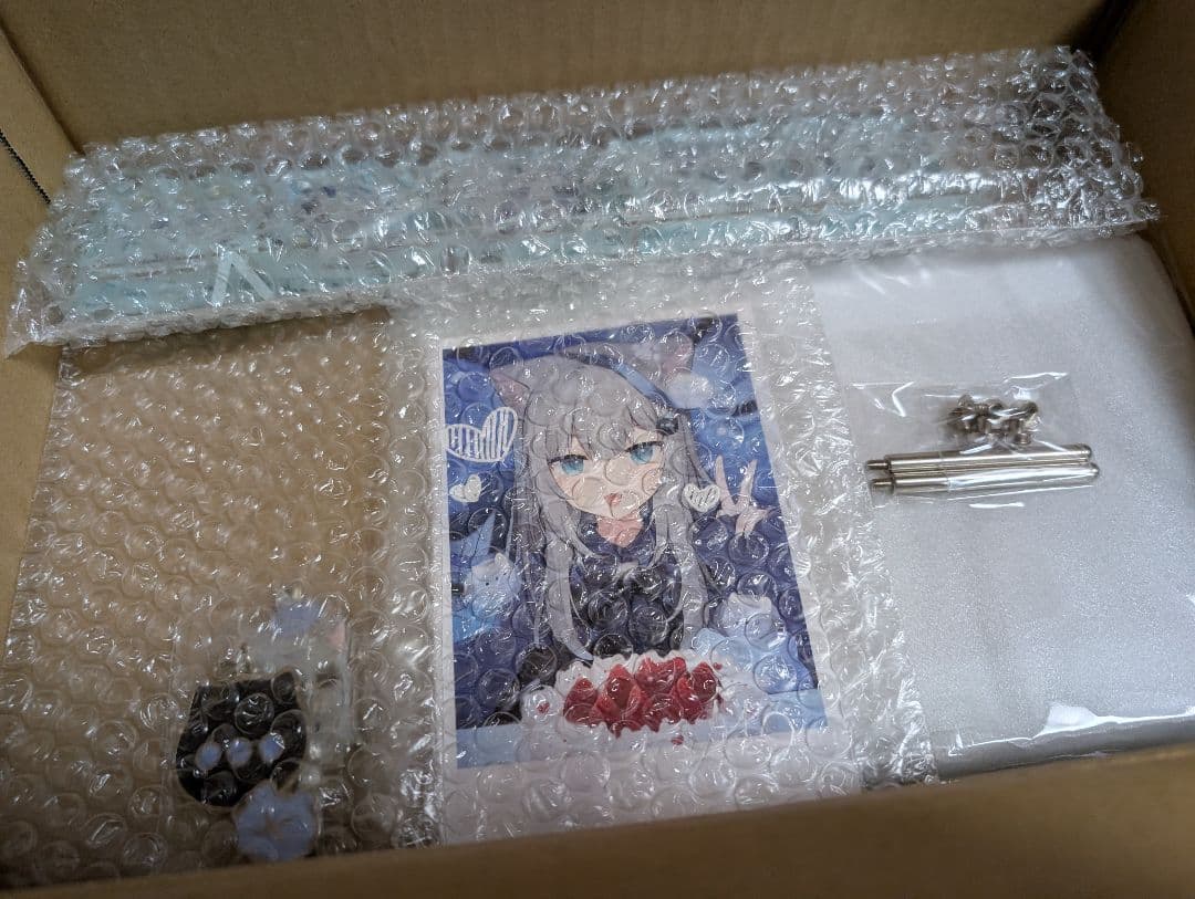 なちょ猫 誕生日記念グッズ 直筆サイン入り nachoneko - メルカリ