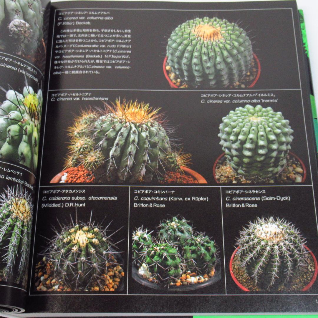 ひろ様専用 サボテン全書 All about CACTUS 【貴重本 初版】 - メルカリ