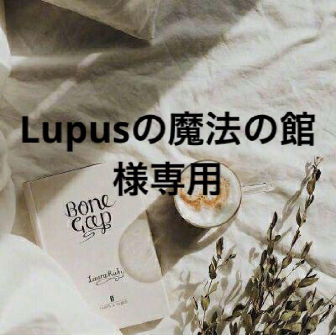 Lupusの魔法の館　プロフ必読　0523 死に戻りの魔法学校生活を、元恋人とプロロ－グから 3 / 白川蟻ん/六