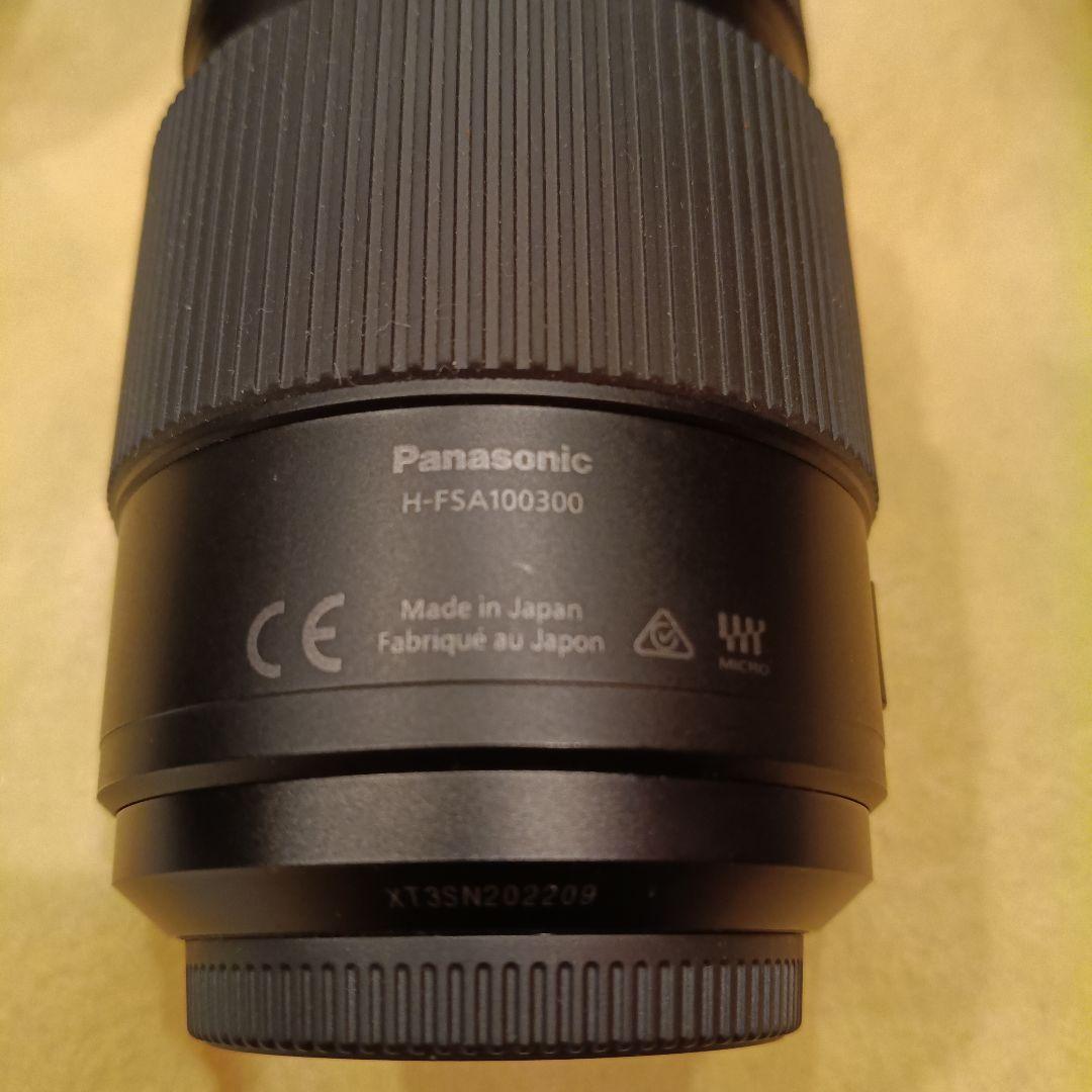 レンズ(ズーム) LUMIX G VALIO 100-300mm F4.0-5.6 II