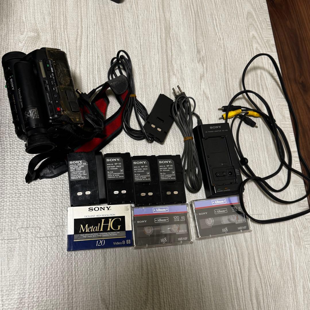 SONY Handycam ビデオカメラ本体 HDR-CX480 | デジタルビデオカメラ Handycam ハンディカム | ソニー