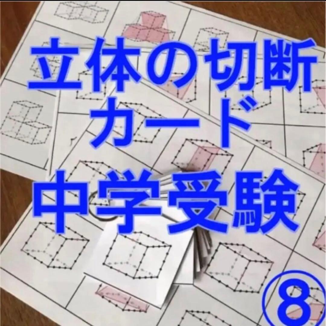 立体の切断模型 ①②③④⑤⑥⑦⑧⑨⑩セット - メルカリ