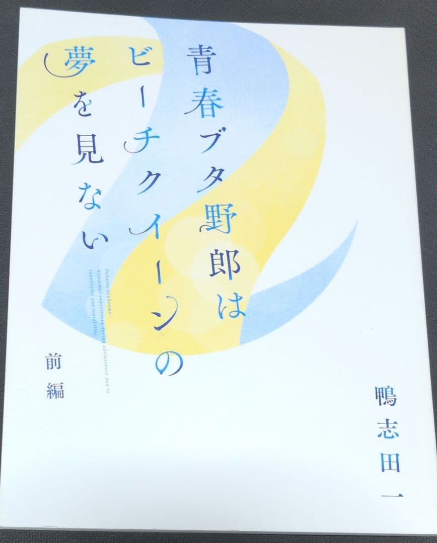 青春ブタ野郎はビーチクイーンの夢を見ない 前編 - メルカリ