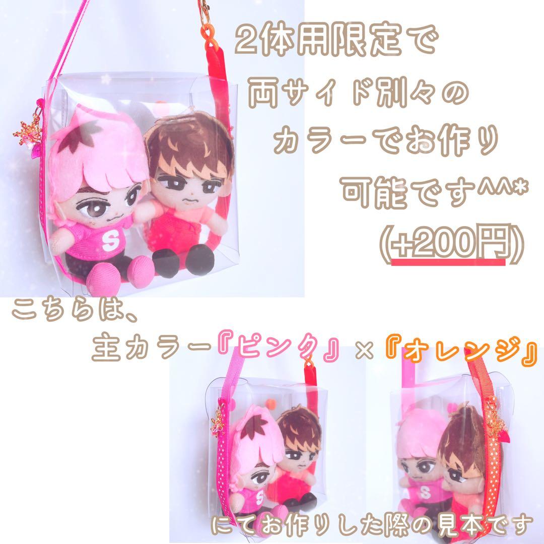 ❁オーダーページ❁ ソフビケース2体用❅*॰ ポーチ SnowMan すのチル