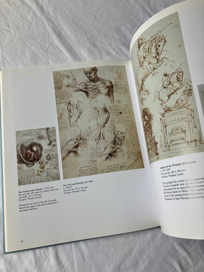 洋書古書】leonardo da vinci（カバーなし） - メルカリ