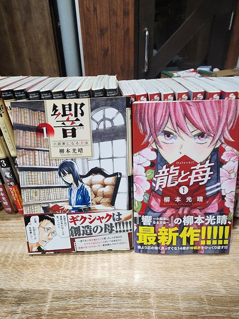 momo　柳本光晴、セット。。龍と苺。女の子が死ぬ話。きっと可愛い女の子だ momo 柳本光晴、セット。。龍と苺。女の子が死ぬ話。きっと可愛い
