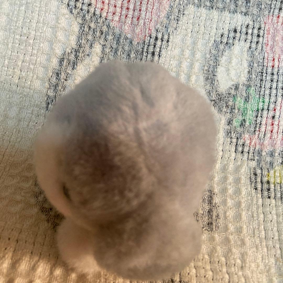 レトロ サンアロー ちいさな犬＆熊 ぬいぐるみ 中古品 日本製 - メルカリ