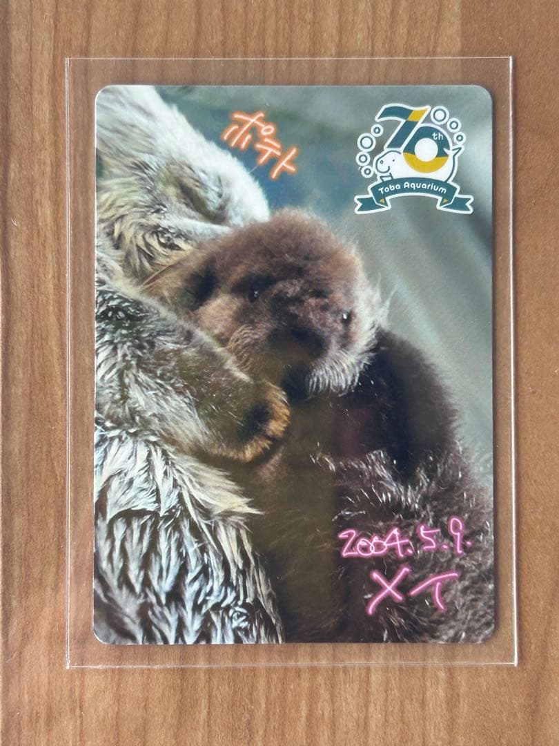 鳥羽水族館】コレクションカード メイ（レアカード） ラッコ 赤ちゃん