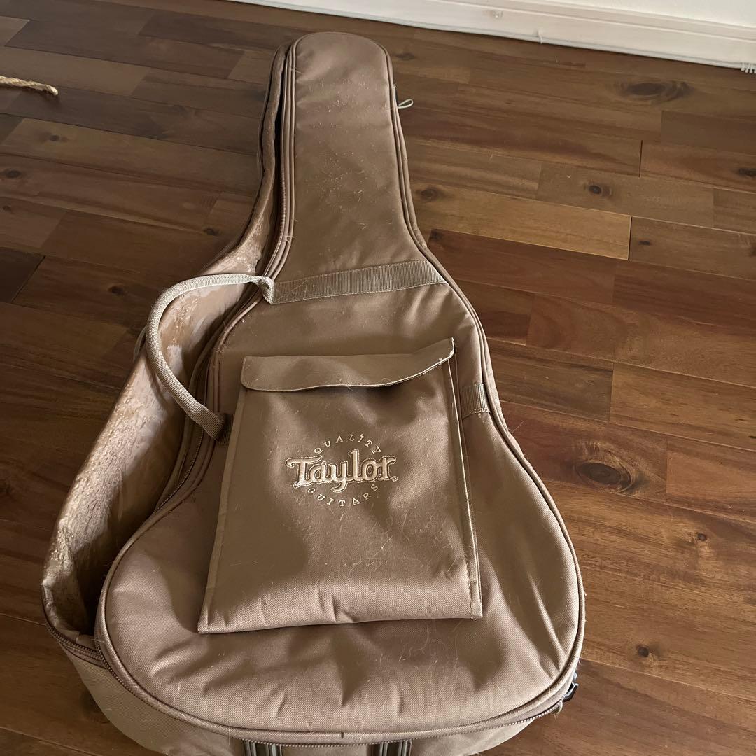 はせけん　オススメ！Taylor Bigbaby 色々おまけ付き！